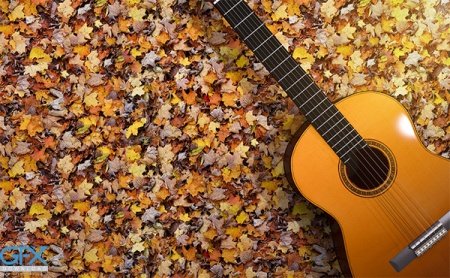  عکس گیتار پروفایل