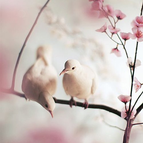  عکس لوکس برای پروفایل