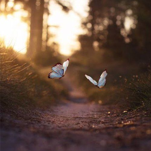  عکس لوکس برای پروفایل