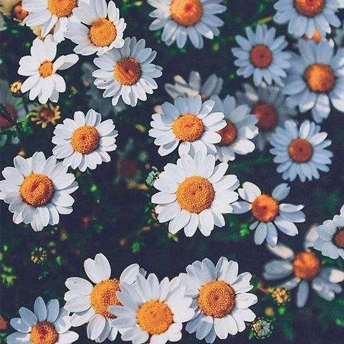  عکس لوکس برای پروفایل