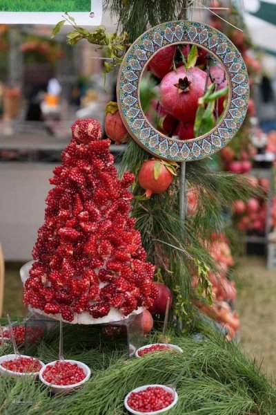 عکس انار شب چله