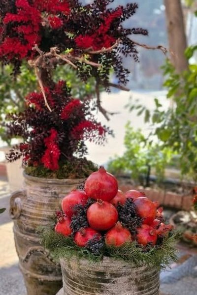  عکس انار شب چله