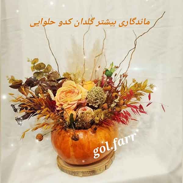  تزیین کدو حلوایی با گل و میوه