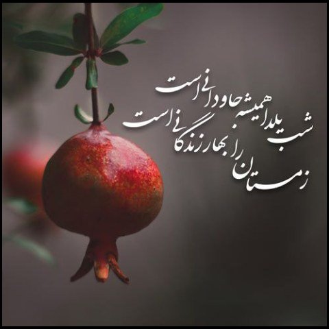  عکس پروفایل یلدا اینستاگرام