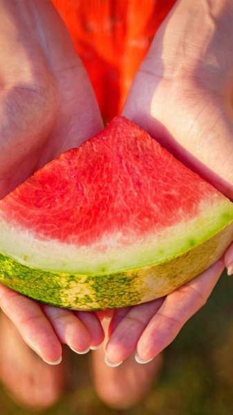  عکس یلدا برای استوری