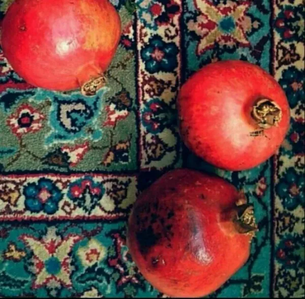 بک گراند شب یلدا با کیفیت بالا