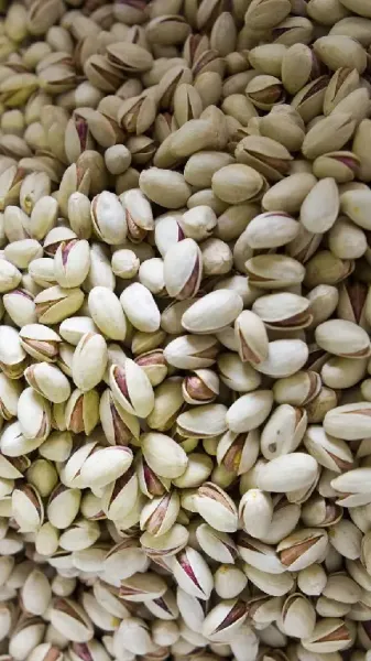 بک گراند شب یلدا رایگان