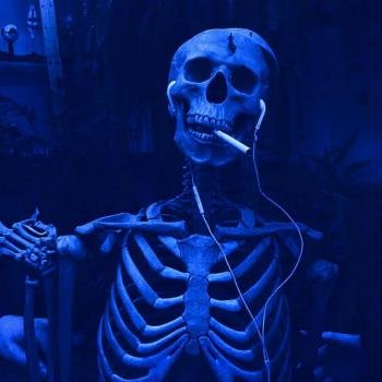  عکس شاخ کارتونی پسرونه