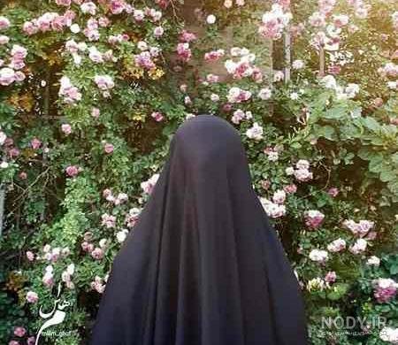  عکس پروفایل دختر دانشجو از پشت سر