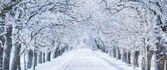  عکس پروفایل پسرانه زمستانی از پشت سر