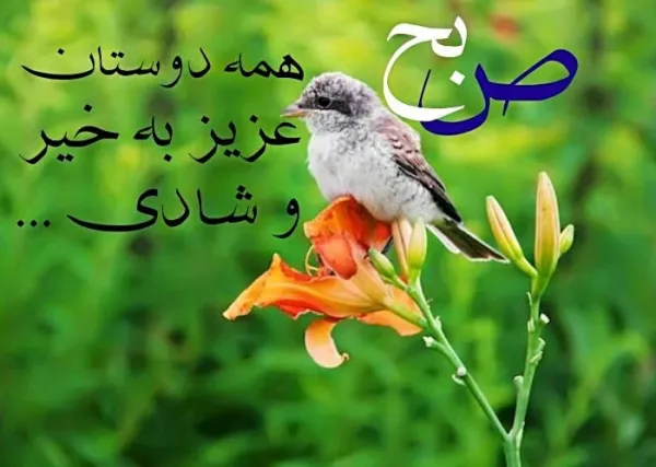  استوری صبح بخیر انگیزشی اینستا