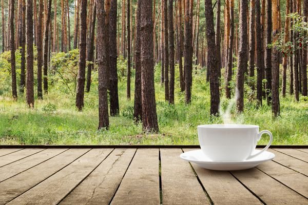 عکس فنجان قهوه در طبیعت