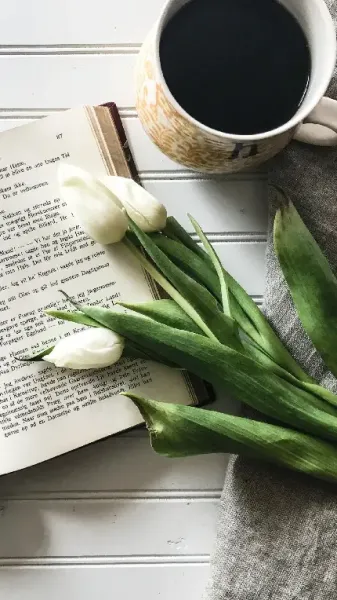  عکس باکلاس قهوه