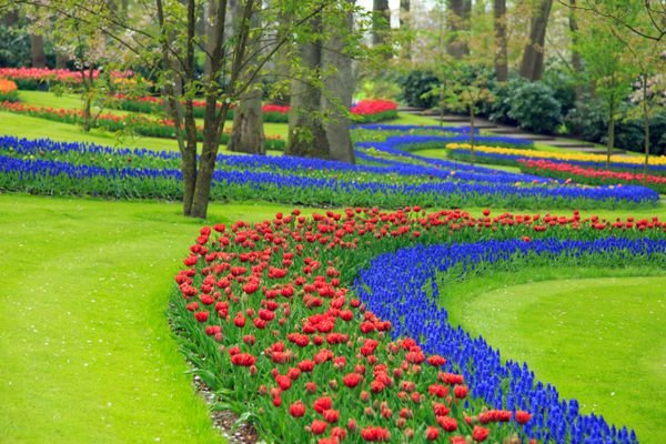  عکس مزرعه گل