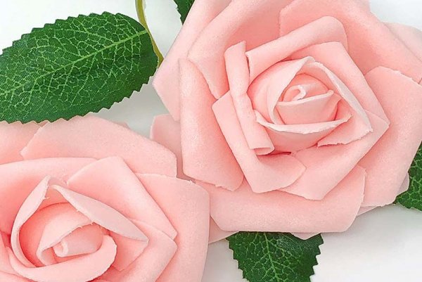  عکس گل های بهشتی