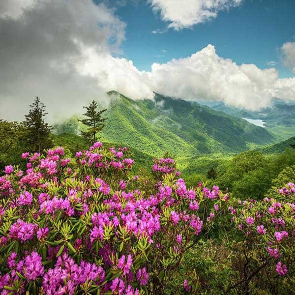  عکس منظره شیک و خاص