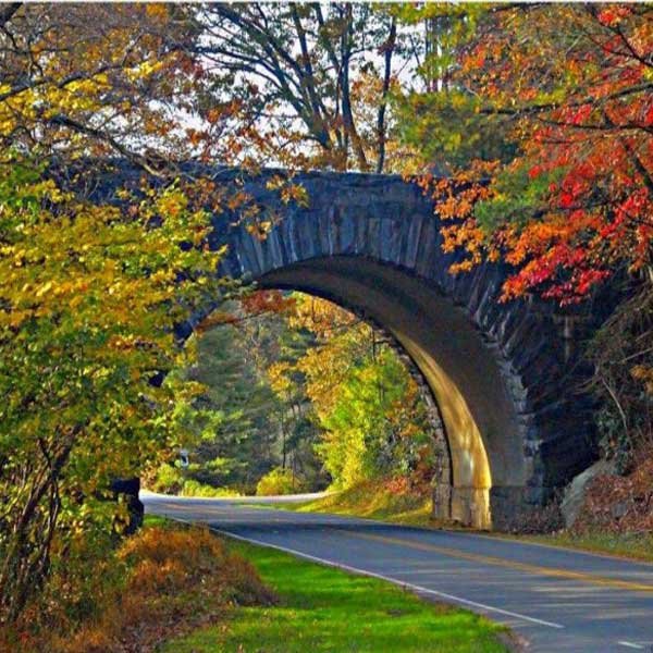  عکس منظره شیک و خاص