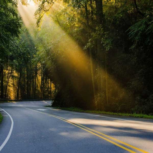  عکس منظره شیک و خاص