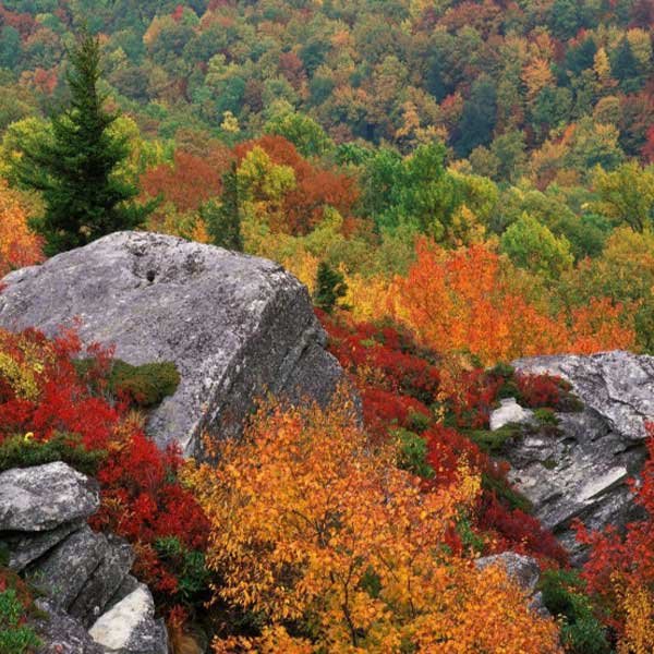  عکس منظره شیک و خاص