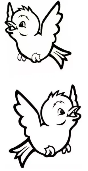 عکس گنجشک نقاشی