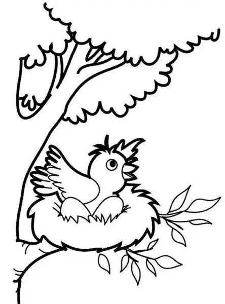  عکس گنجشک نقاشی