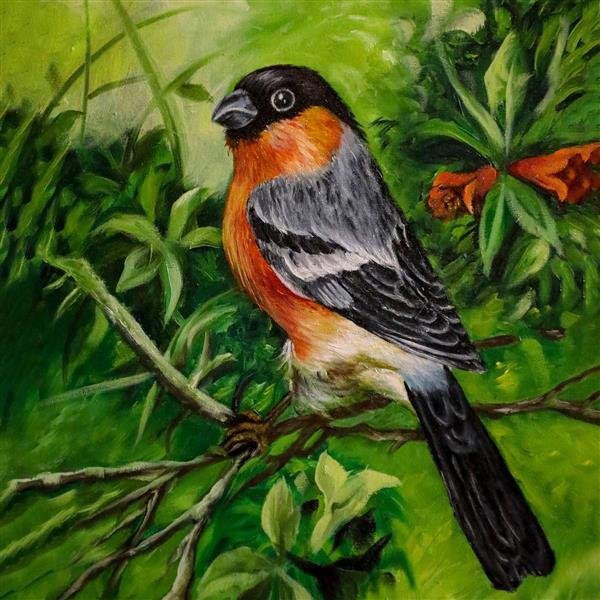 عکس گنجشک عاشق