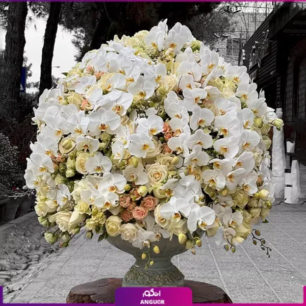  عکس دسته گل طبیعی