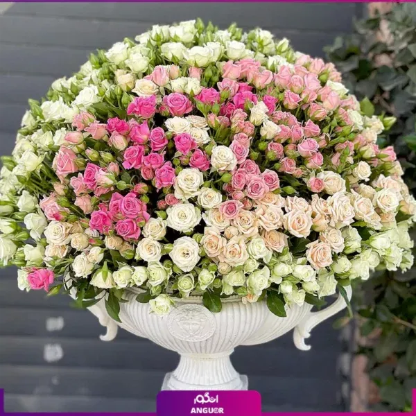  عکس دسته گل طبیعی