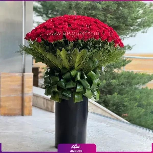 عکس گل عشق طبیعی