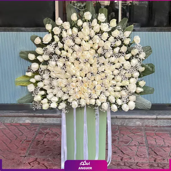 عکس گل عشق طبیعی