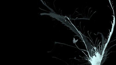  عکس پس زمینه لپ تاپ با کیفیت بالا