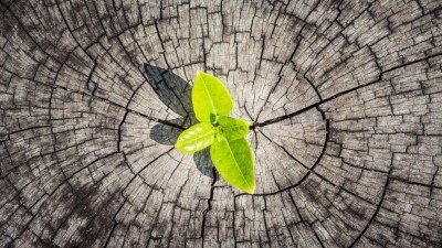  عکس پس زمینه لپ تاپ با کیفیت بالا