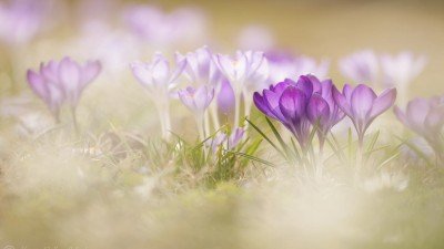  عکس با کیفیت بالا برای کامپیوتر