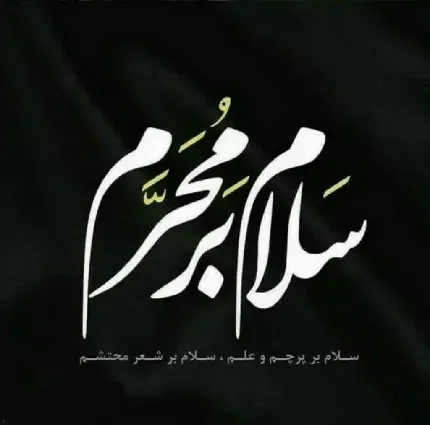  عکس کربلا با کیفیت