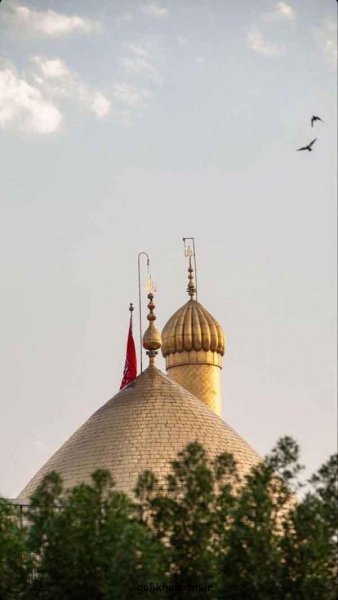  زیباترین عکس کربلا برای پروفایل