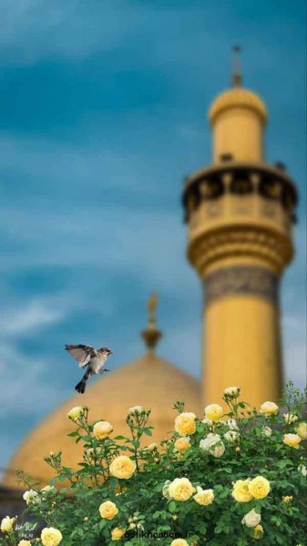  زیباترین عکس کربلا برای پروفایل