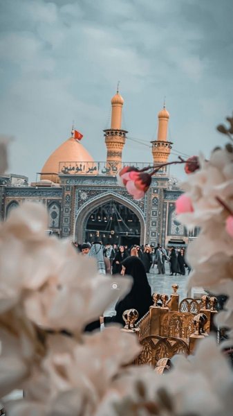  عکس کربلا برای استوری