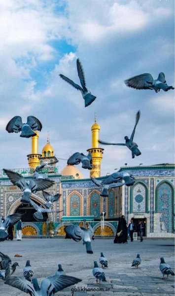  عکس بین الحرمین کربلا برای پروفایل واتساپ