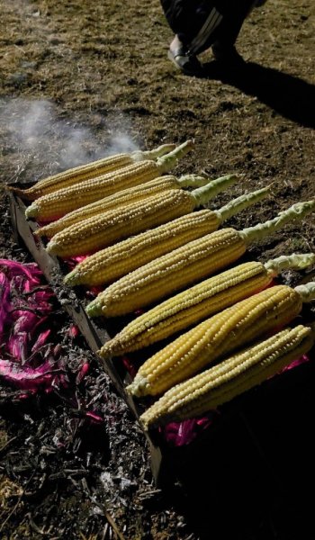  عکس خوراکی فیک برای استوری