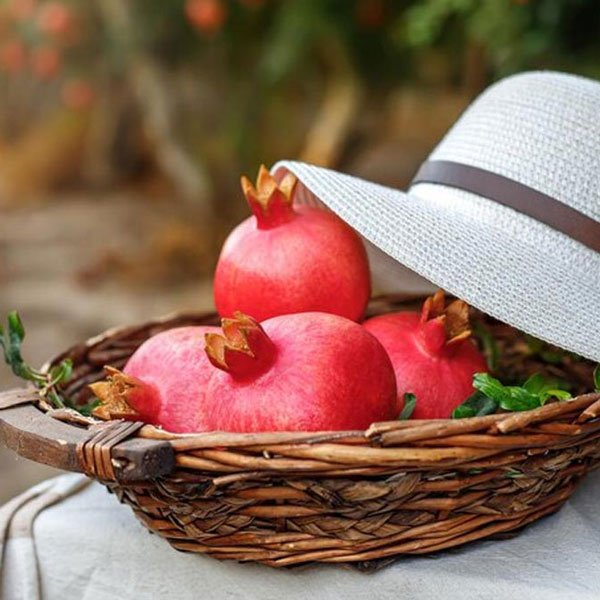  عکس شب یلدا دخترانه