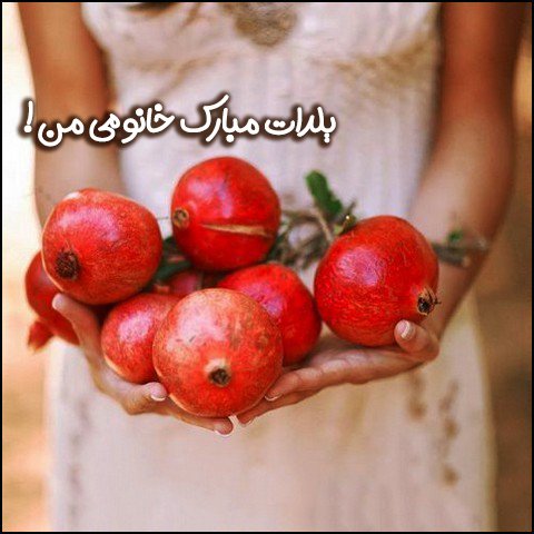 استوری شب یلدا واتساپ