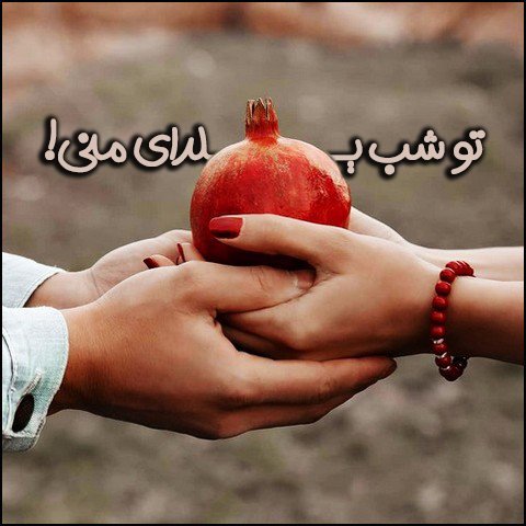  استوری شب یلدا واتساپ