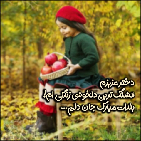  استوری شب یلدا واتساپ