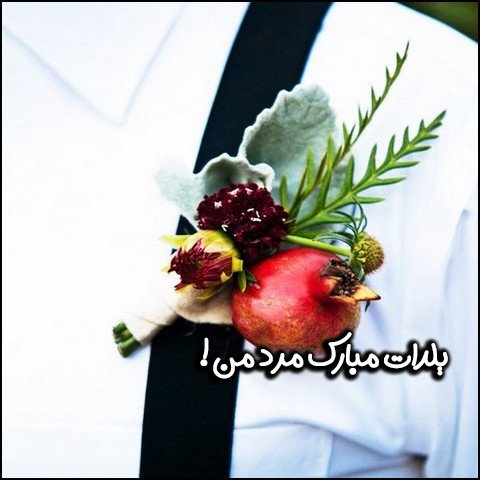  استوری شب یلدا واتساپ