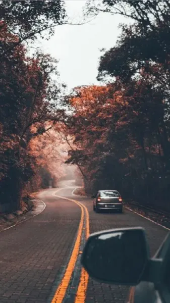 عکس جاده طبیعی