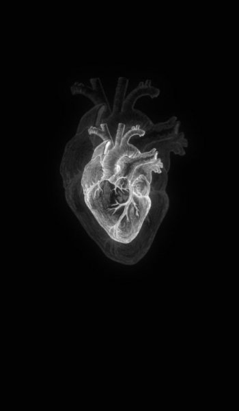  عکس پس زمینه دارک کیوت