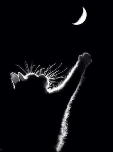  عکس پس زمینه دارک خفن