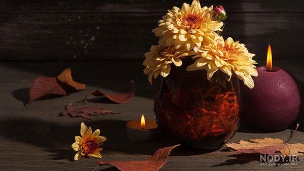 عکس شمع و پروانه غمگین