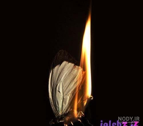  عکس شمع و پروانه غمگین