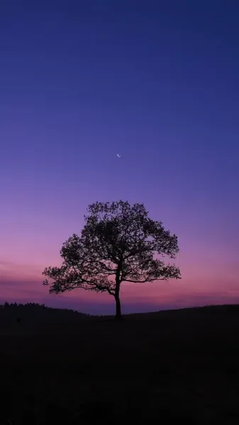  عکس یک مرد در تاریکی